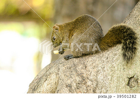 台湾 台北 台北市 39501282