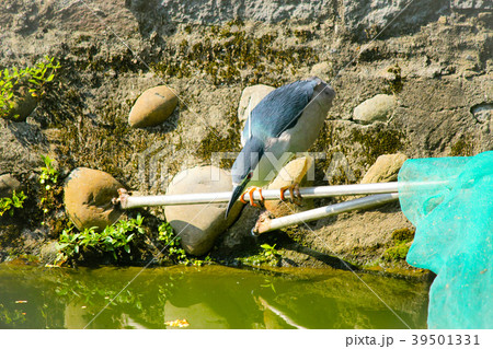 台湾 台北 台北市 39501331