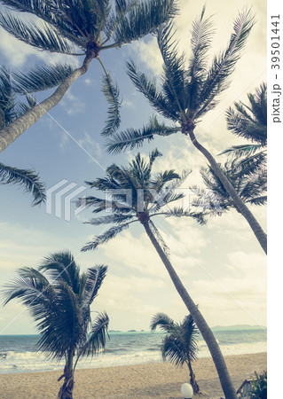 coconut tree and beach in vintage style coconut tree and beach in vintage style 39501441