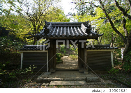 横浜三渓園 海岸門 横浜三渓園 海岸門 39502384