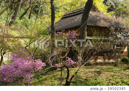 横浜三渓園 横笛庵 横浜三渓園 横笛庵 39502385