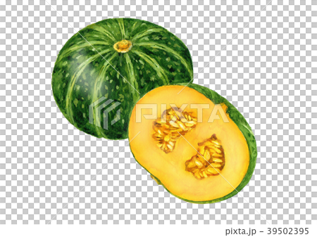 Pumpkin watercolor illustration Pumpkin watercolor illustration 39502395