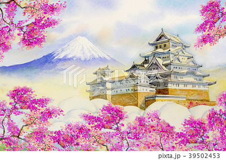 Himeji Castle and full sakura cherry blossom. 39502453