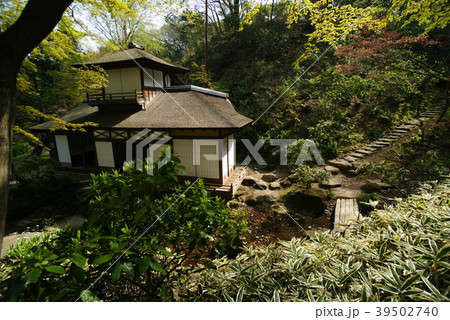 横浜三渓園 聴秋閣 横浜三渓園 聴秋閣 39502740