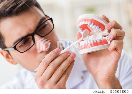 Young dentist working in the dentistry hospital Young dentist working in the dentistry hospital 39502806