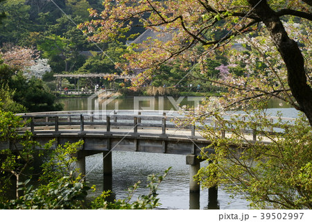 横浜 三溪園 横浜 三溪園 39502997