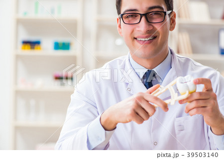 Young dentist working in the dentistry hospital Young dentist working in the dentistry hospital 39503140