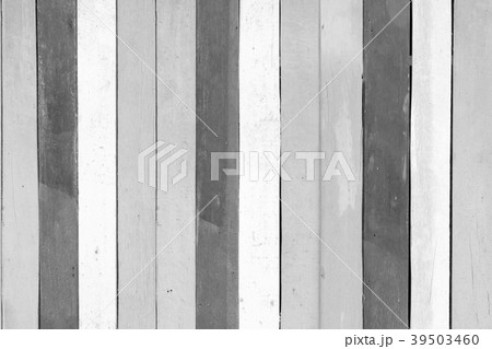 gray wooden wall, black and white wood textured  39503460