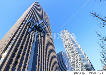 都市風景　新宿ビル群と青空 39503571