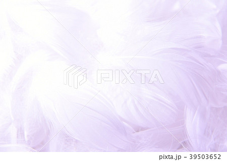 背景素材　羽　羽毛 39503652