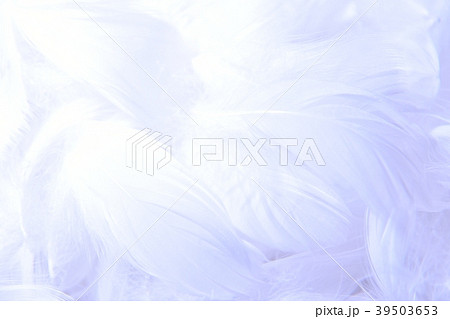 背景素材　羽　羽毛 39503653