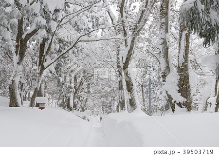 積雪の大神山神社参道 39503719