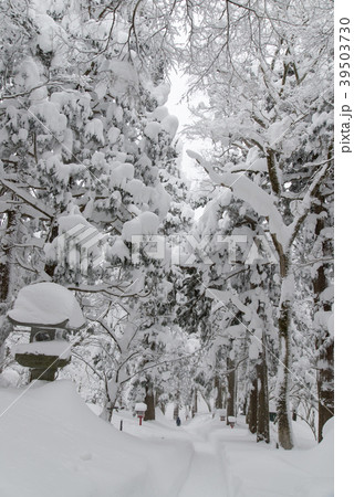 積雪の大神山神社参道 39503730