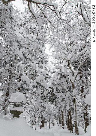 積雪の大神山神社参道 39503732