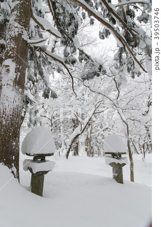 積雪の大神山神社参道 積雪の大神山神社参道 39503746