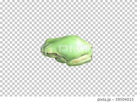 かえる 6匹目 かえる 6匹目 39504015