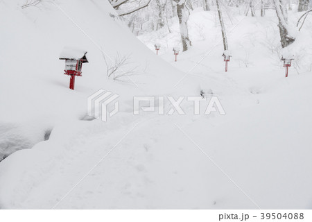 積雪の大神山神社参道 39504088