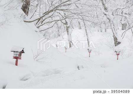 積雪の大神山神社参道 39504089