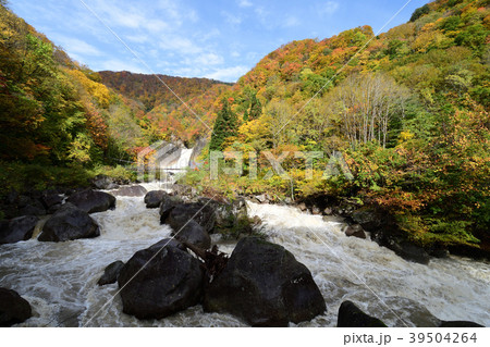 苗名滝 紅葉 苗名滝 紅葉 39504264