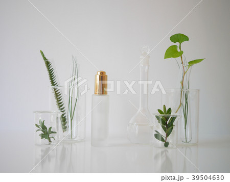 natural skincare cosmetic and organic green leaf natural skincare cosmetic and organic green leaf 39504630