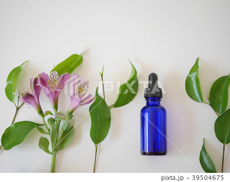 natural skincare cosmetic and organic green leaf natural skincare cosmetic and organic green leaf 39504675