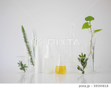 natural skincare cosmetic and organic green leaf. natural skincare cosmetic and organic green leaf. 39504818
