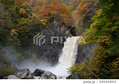 苗名滝 紅葉 苗名滝 紅葉 39504943