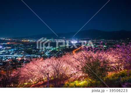《神奈川県》夜桜の丘・松田町 39506223