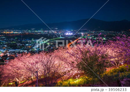 《神奈川県》夜桜の丘・松田町 39506233