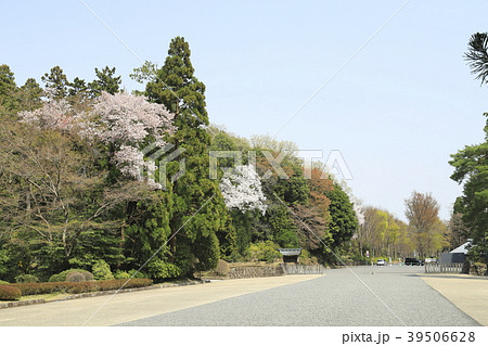 武蔵陵墓地（多摩御陵）　総門から見た正門と並木道 39506628
