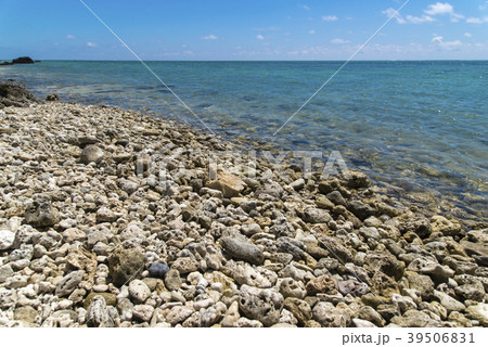 白保海岸(石垣島) 白保海岸(石垣島) 39506831