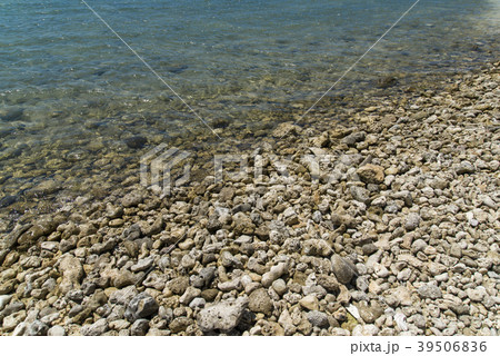 白保海岸（石垣島） 39506836