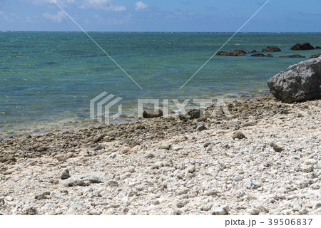 白保海岸（石垣島） 39506837