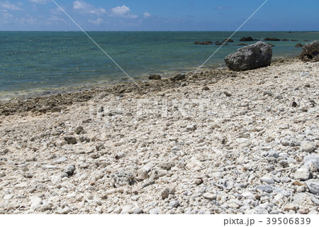 白保海岸(石垣島) 白保海岸(石垣島) 39506839