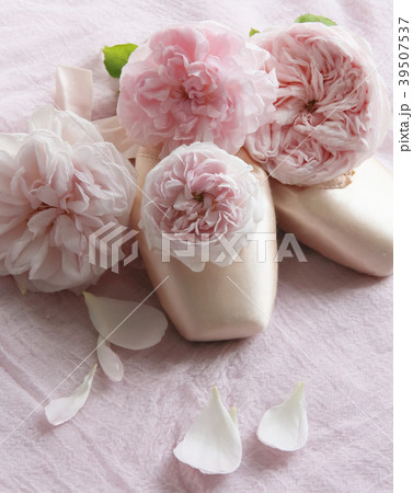 ピンクの薔薇とトゥシューズ縦の写真素材