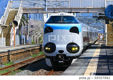 パンダくろしお号JR287 Panda face Express Train Kuroshio 6 パンダくろしお号JR287 Panda face Express Train Kuroshio 6 39507982