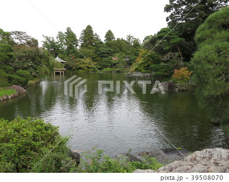 成田山公園の龍智の池 39508070