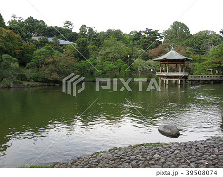 成田山公園の龍智の池 成田山公園の龍智の池 39508074