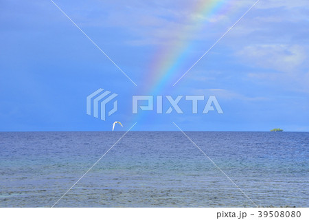 虹とアジサシ 39508080