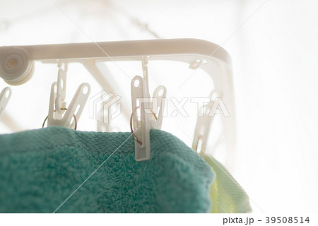 せんたくもの 39508514