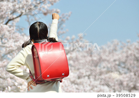 小学6年生の女の子(桜、卒業、後姿、カジュアル) 小学6年生の女の子(桜、卒業、後姿、カジュアル) 39508529