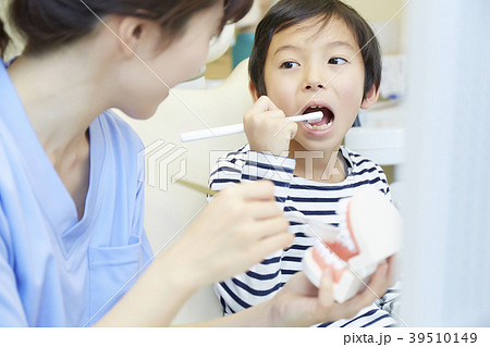 歯医者の歯磨き指導 39510149