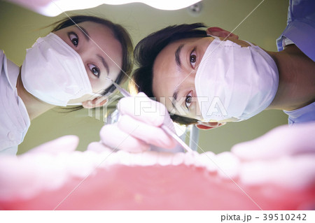 歯医者の治療 歯医者の治療 39510242