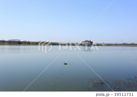 埼玉県戸田市の風景:彩湖 埼玉県戸田市の風景:彩湖 39511731