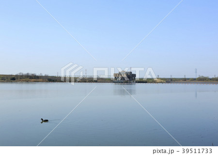 埼玉県戸田市の風景:彩湖 埼玉県戸田市の風景:彩湖 39511733