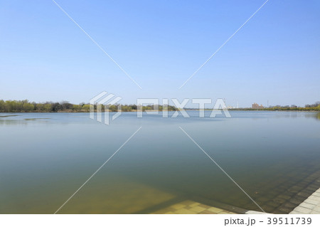 埼玉県戸田市の風景:彩湖 埼玉県戸田市の風景:彩湖 39511739