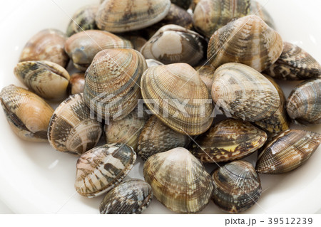 あさり あさり 39512239