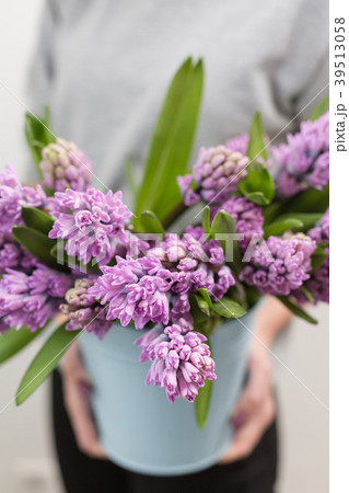 Bouquet of Beautiful violet and lilac hyacinths Bouquet of Beautiful violet and lilac hyacinths 39513058