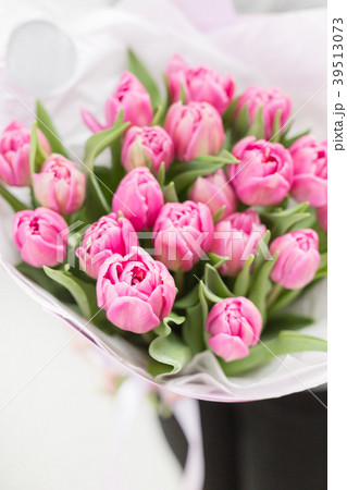 Tulips of pink color in woman hand. Big buds Tulips of pink color in woman hand. Big buds 39513073