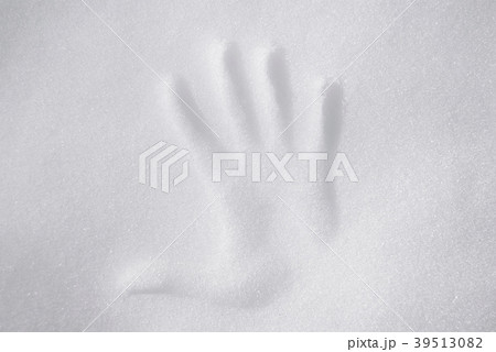 Impression of the female palm on the snow  39513082